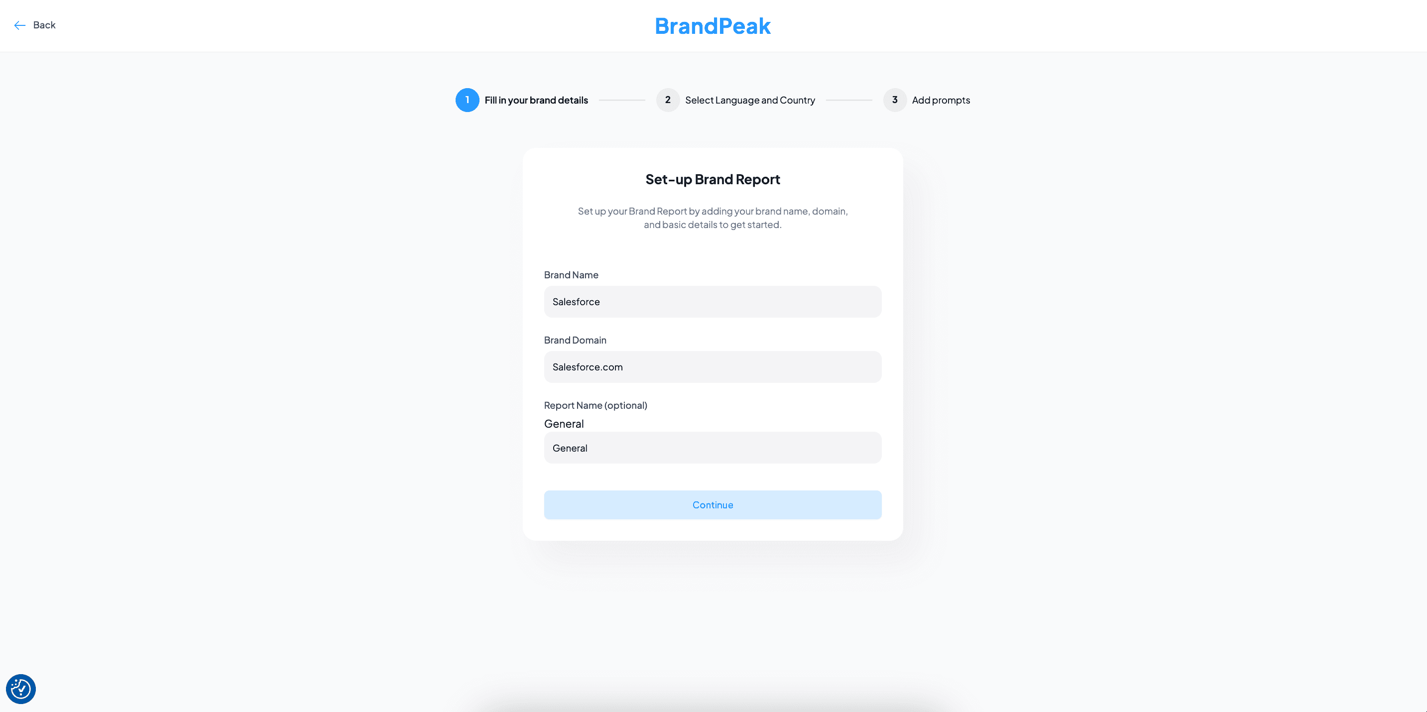 Set Up a New Brand Report screenshot